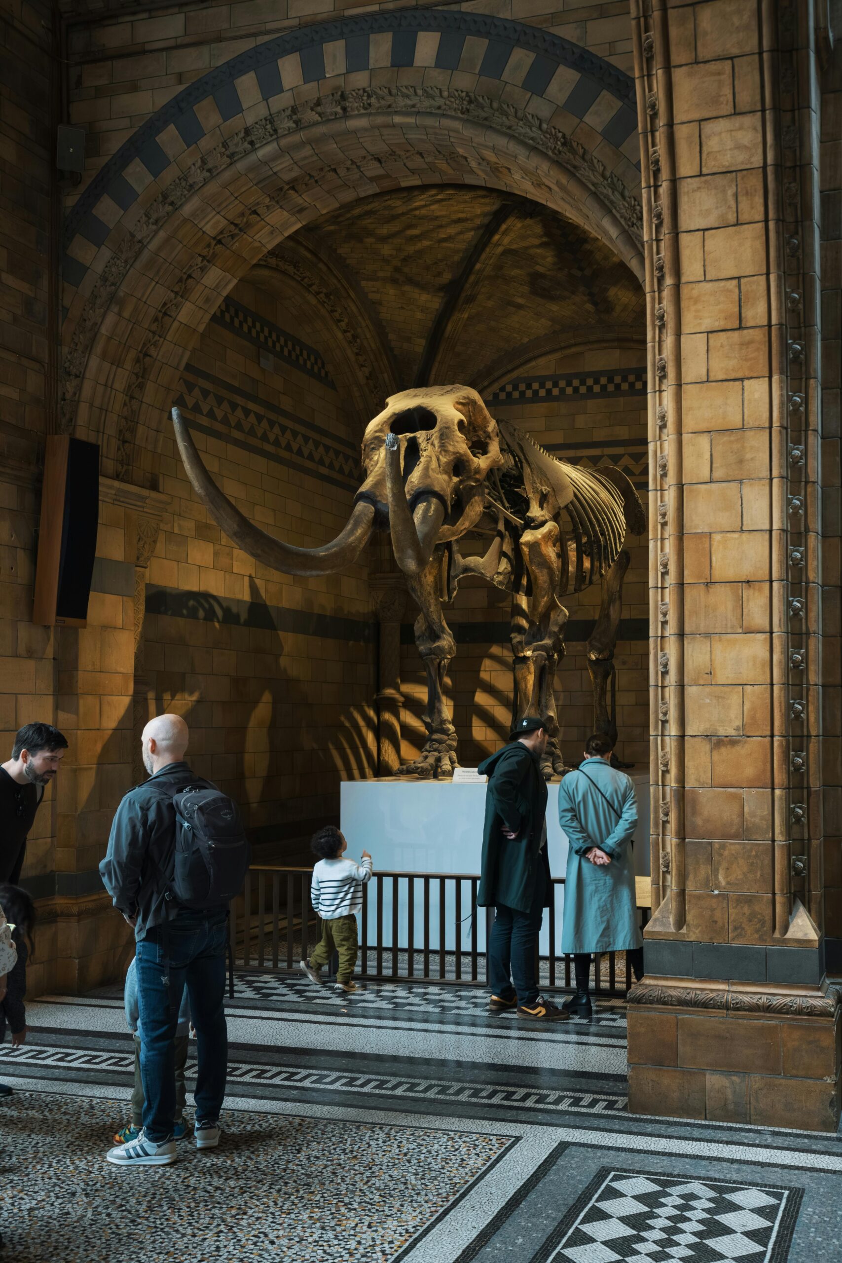 A la venta Historia Natural